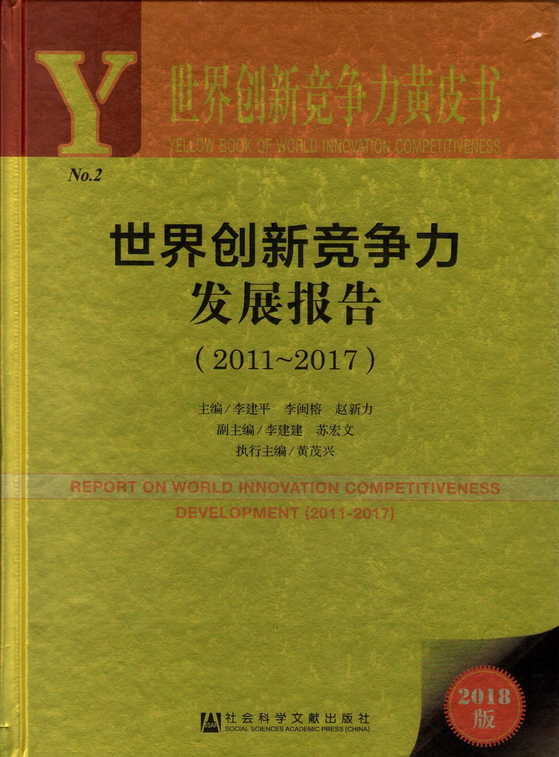 不要插我高潮视频世界创新竞争力发展报告（2011-2017）